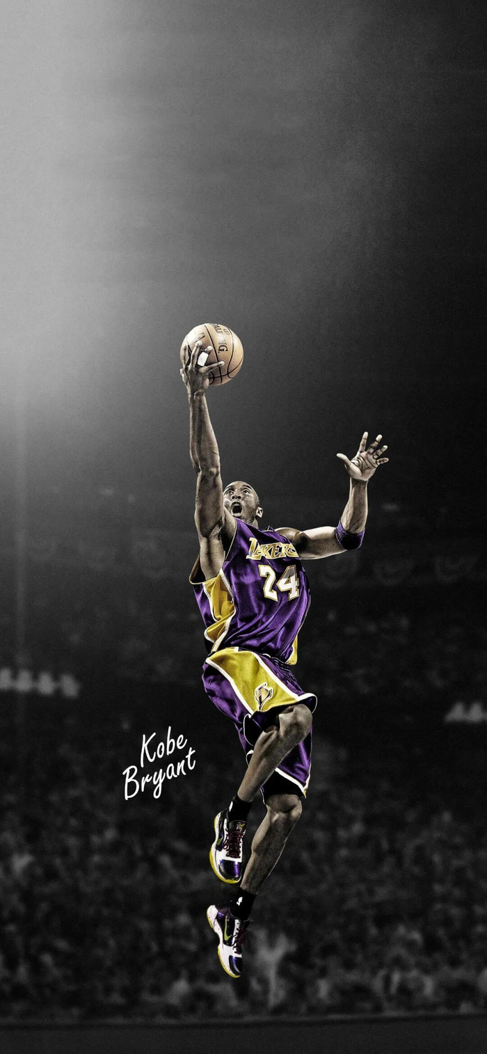 对胡明轩而 对胡明轩而